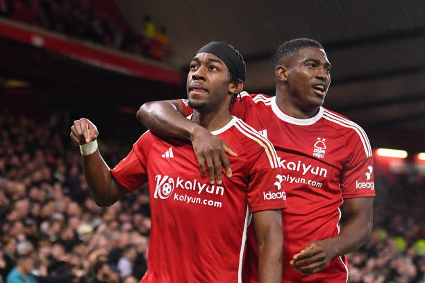 尼亚的表现 尼亚的表现