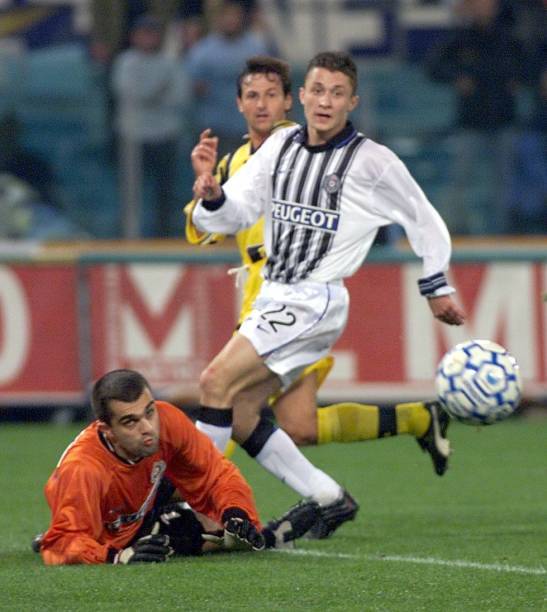 展示了他的 展示了他的